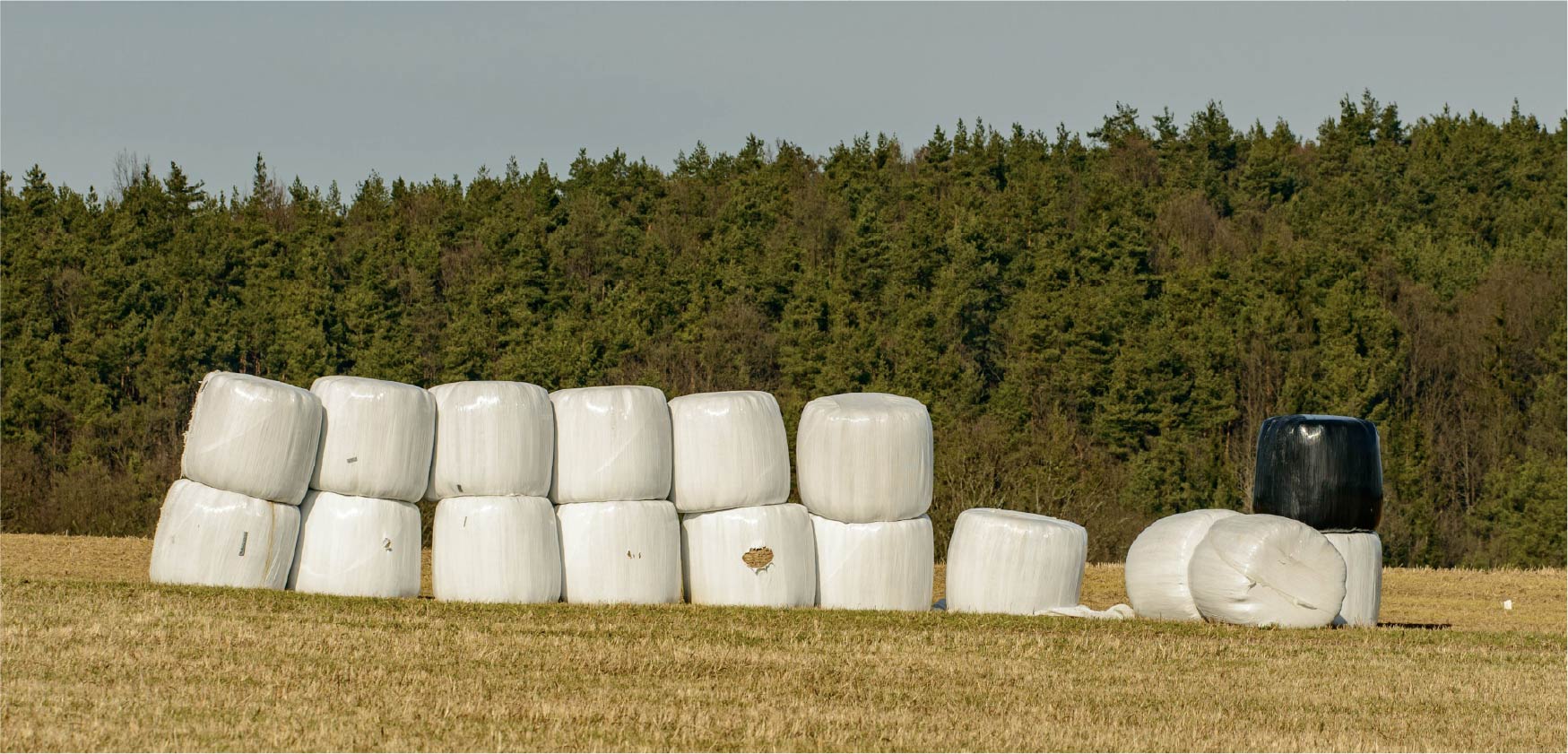 AboutUsPageImages-01